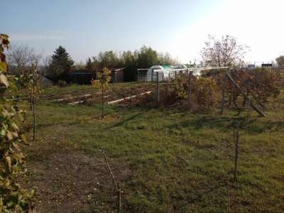 Eladó mezőgazdasági terület - Balatonkenese / 3. kép