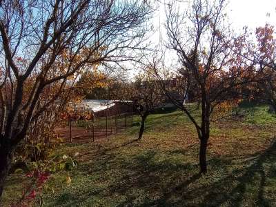 Eladó mezőgazdasági terület - Balatonkenese / 6. kép