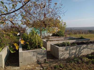 Eladó mezőgazdasági terület - Balatonkenese / 4. kép