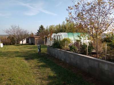 Eladó mezőgazdasági terület - Balatonkenese / 5. kép