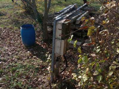 Eladó mezőgazdasági terület - Balatonkenese / 8. kép