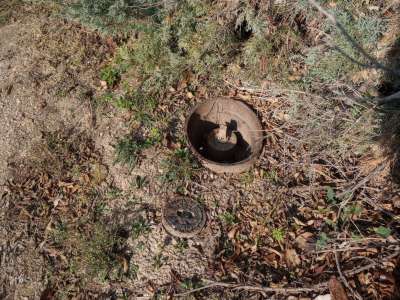 Eladó mezőgazdasági terület - Balatonkenese / 9. kép