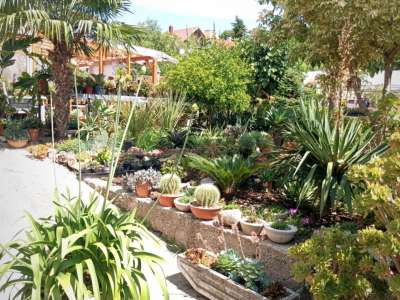 Eladó téglalakás - Alsóörs / 10. kép