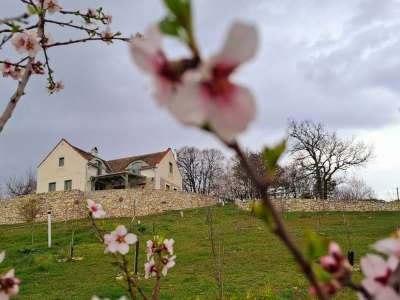 Eladó gazdasági épület - Pécsely (szőlőhegy) / 16. kép