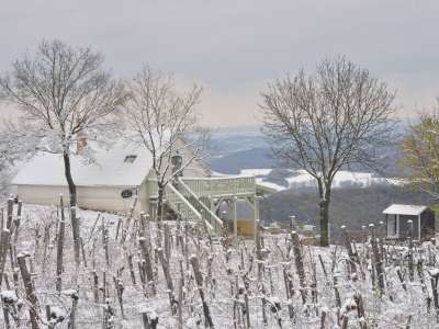 Eladó gazdasági épület - Pécsely (szőlőhegy) / 2. kép