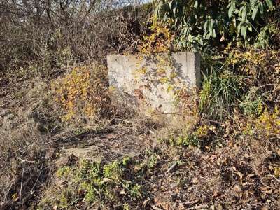 Eladó zártkert - Felsőörs (Felsőörs) / 10. kép