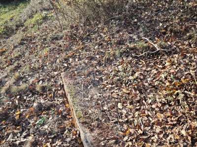 Eladó zártkert - Felsőörs (Felsőörs) / 11. kép