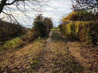 Eladó zártkert - Felsőörs (Felsőörs) / 9. kép