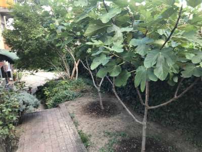 Eladó téglalakás - Balatonalmádi (Városközpont) / 13. kép