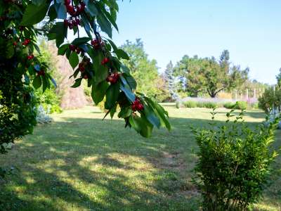 Eladó családi ház - Balatonakarattya / 18. kép