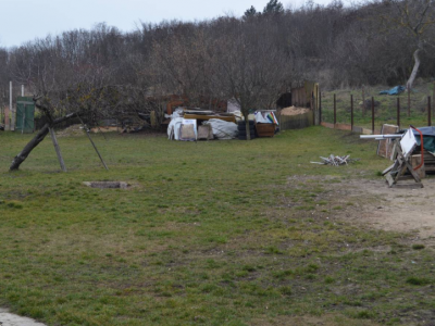 Eladó családi ház - Balatonkenese / 4. kép