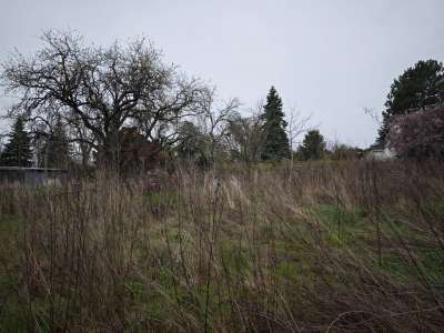 Eladó zártkert - Balatonalmádi / 6. kép