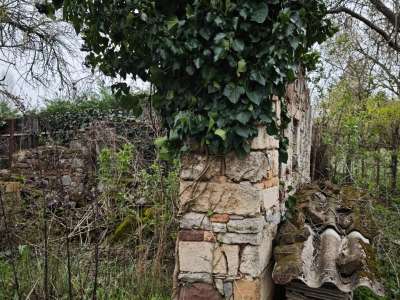 Eladó zártkert - Balatonalmádi / 12. kép