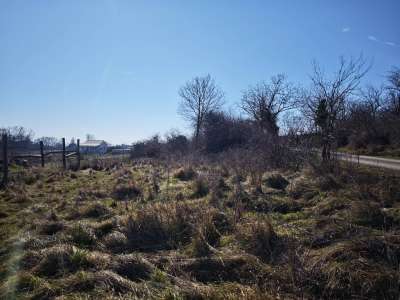 Eladó mezőgazdasági terület - Balatonszepezd / 3. kép