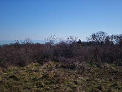 Eladó mezőgazdasági terület - Balatonszepezd / 5. kép