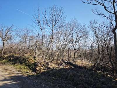 Eladó mezőgazdasági terület - Balatonszepezd / 9. kép