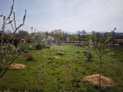 Eladó építési telek - Csopak / 1. kép