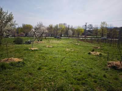 Eladó építési telek - Csopak / 2. kép