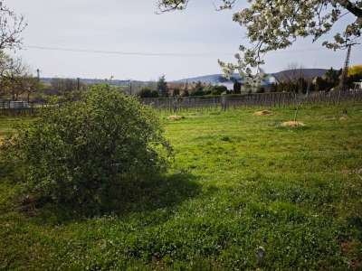 Eladó építési telek - Csopak / 5. kép