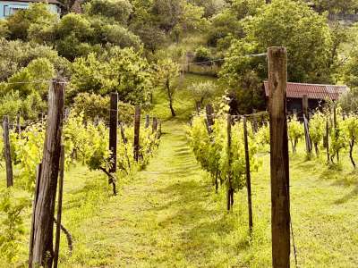 Eladó gazdasági épület - Felsőörs / 3. kép