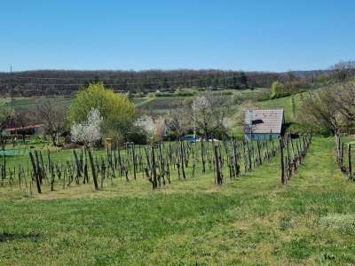 Eladó nyaraló - Balatonszőlős / 23. kép
