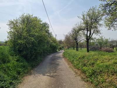 Eladó nyaraló - Balatonszőlős / 28. kép