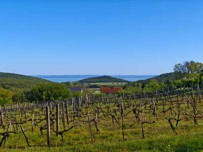 Eladó nyaraló - Felsőörs / 1. kép