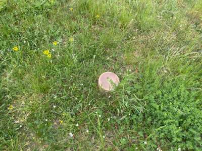 Eladó építési telek - Balatonalmádi (Öreghegy) / 7. kép