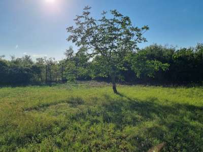 Eladó építési telek - Balatonfűzfő / 3. kép
