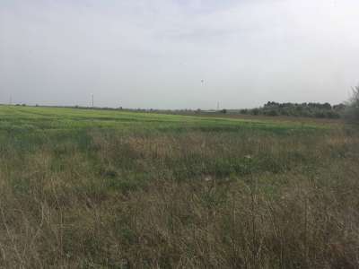 Eladó szántó - Veszprém (Déli intézményközpont) / 1. kép