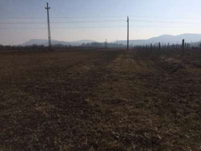 Eladó zártkert - Aszófő (Vörösmáli dűlő) / 11. kép