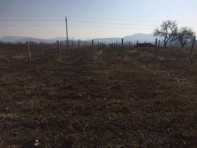 Eladó zártkert - Aszófő (Vörösmáli dűlő) / 9. kép