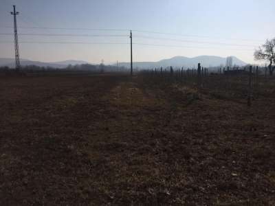 Eladó zártkert - Aszófő (Vörösmáli dűlő) / 7. kép