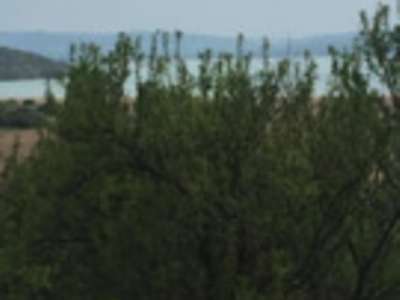 Eladó zártkert - Aszófő (Vörösmáli dűlő) / 12. kép