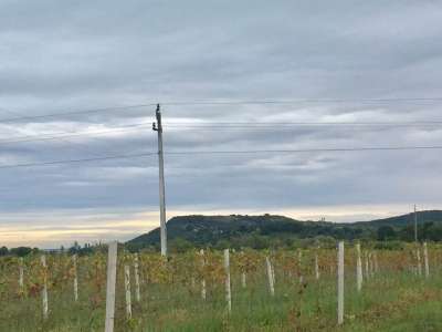 Eladó zártkert - Aszófő (Vörösmáli dűlő) / 1. kép