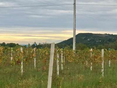 Eladó zártkert - Aszófő (Vörösmáli dűlő) / 2. kép