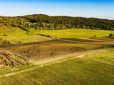 Eladó mezőgazdasági terület - Óbudavár / 5. kép