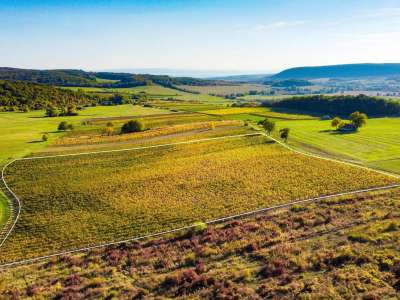 Eladó mezőgazdasági terület - Óbudavár / 1. kép