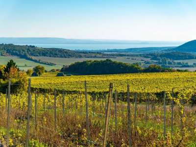 Eladó mezőgazdasági terület - Óbudavár / 2. kép