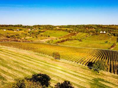 Eladó mezőgazdasági terület - Óbudavár / 3. kép