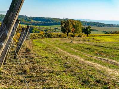Eladó mezőgazdasági terület - Óbudavár / 4. kép