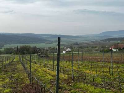 Eladó zártkert - Óbudavár / 5. kép