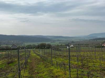 Eladó zártkert - Óbudavár / 6. kép