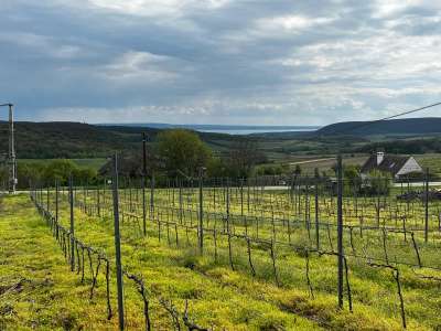 Eladó zártkert - Óbudavár / 4. kép