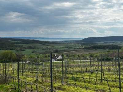 Eladó zártkert - Óbudavár / 3. kép