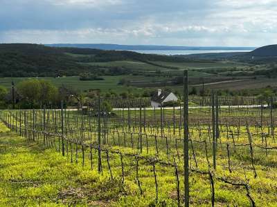Eladó zártkert - Óbudavár / 1. kép