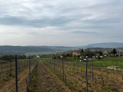 Eladó zártkert - Óbudavár / 7. kép