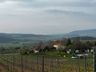 Eladó zártkert - Óbudavár / 5. kép
