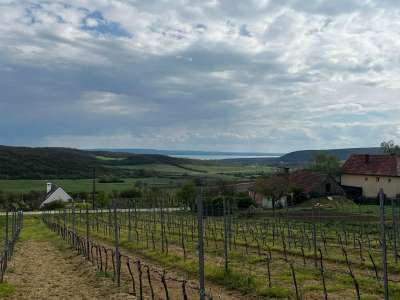 Eladó zártkert - Óbudavár / 2. kép