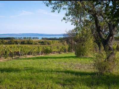 Eladó zártkert - Tagyon / 2. kép